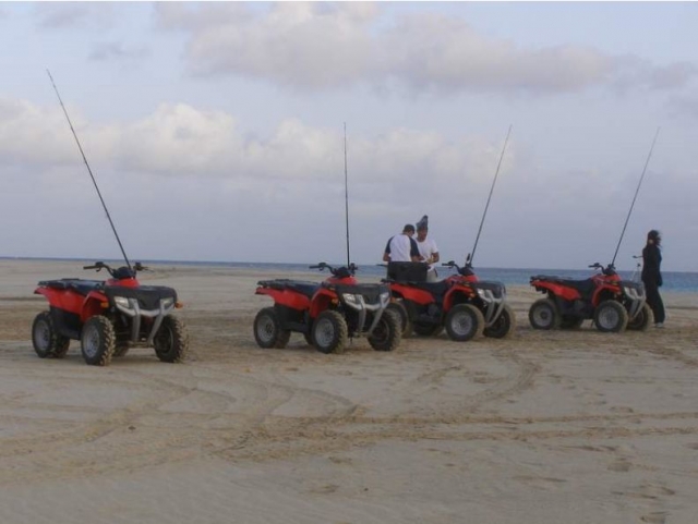  ¡Prepárale y listo! 